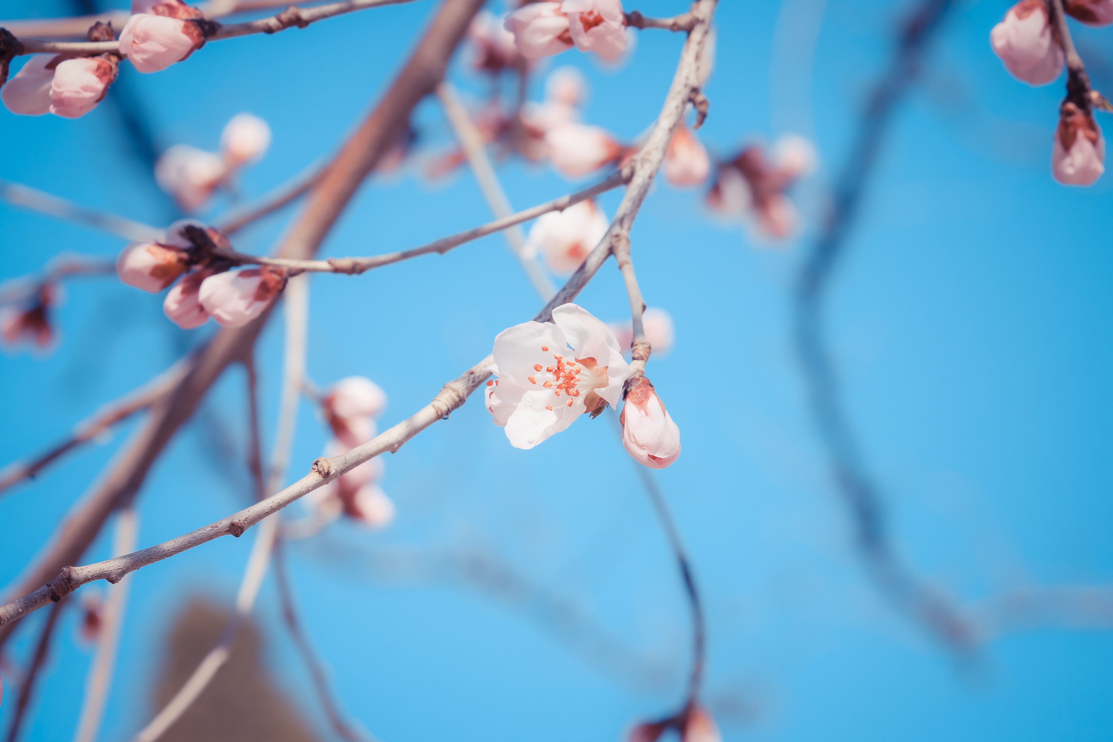 伟易博(中国区)官方网站